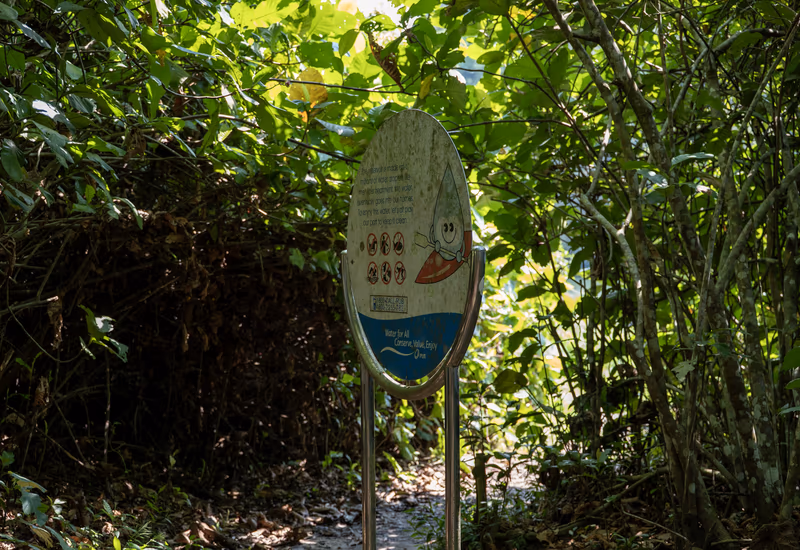 丛林中可爱的水滴造型卡通宣传牌