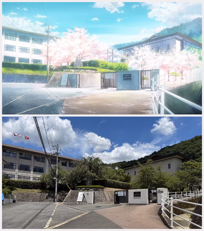 [神奇海螺][对比图生成器][mddbfobe].avif